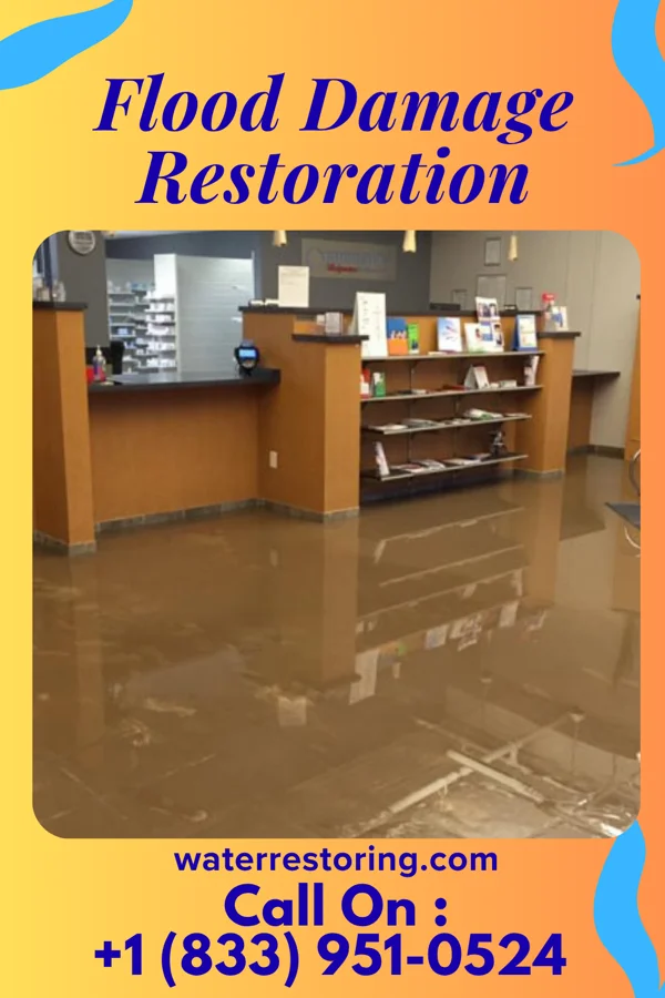 Flood Damage Restoration in Tignall, GA