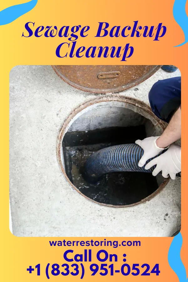 Sewage Backup Cleanup in Tignall, GA