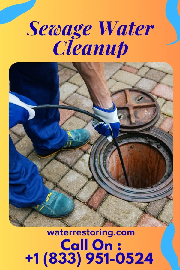 Sewage Water Cleanup in Tignall, GA